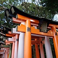 DSC00241.JPG