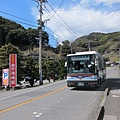 IMG_3527.JPG