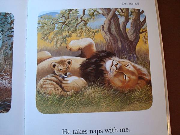 DSC09131.JPG DSC09131.JPG