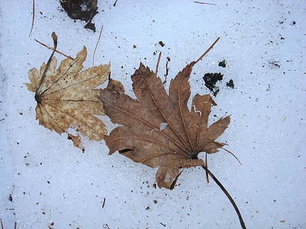 DSC09151.JPG DSC09151.JPG