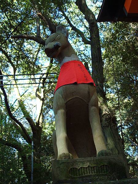 DSC00282.JPG