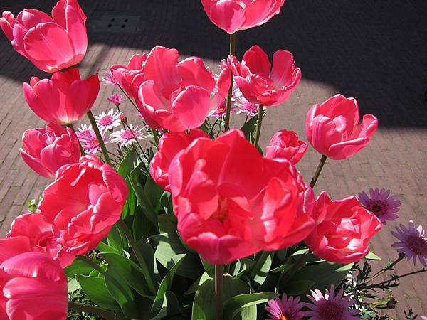 IMG_2508.JPG IMG_2508.JPG