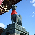 DSC00216.JPG