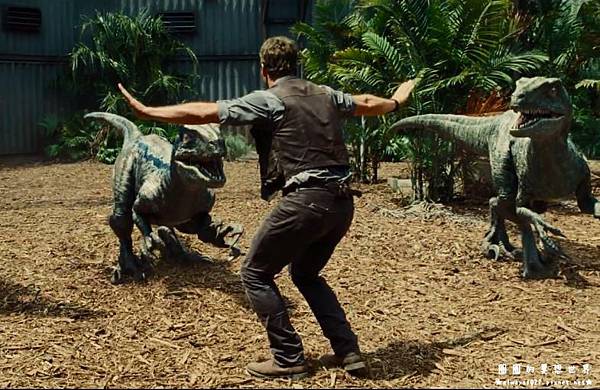 chris-pratt-velociraptor-jurassic-world.jpg