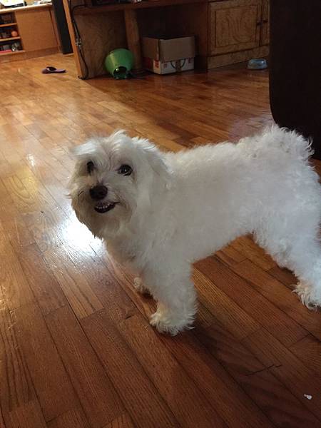 FIDO.jpg FIDO.jpg