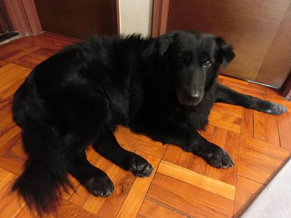 CIMG0001 拷貝 3.JPG CIMG0001 拷貝 3.JPG