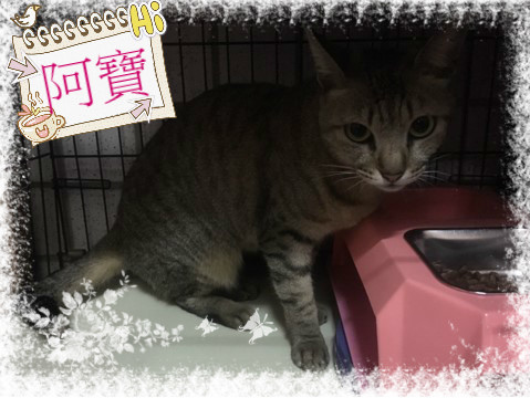 DA63C6787BC74C75BDD184D09718792F_meitu_1.jpg DA63C6787BC74C75BDD184D09718792F_meitu_1.jpg