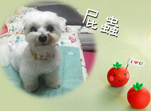 56640013_10215784677344381_3743301256752398336_o_meitu_1.jpg 56640013_10215784677344381_3743301256752398336_o_meitu_1.jpg