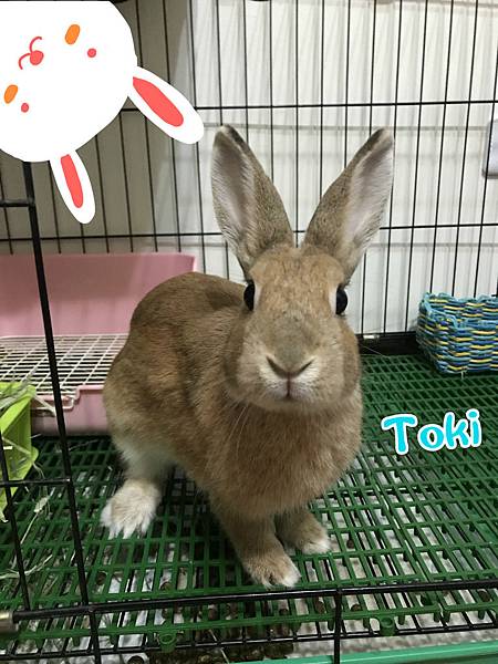 IMG_2831_meitu_1.jpg IMG_2831_meitu_1.jpg