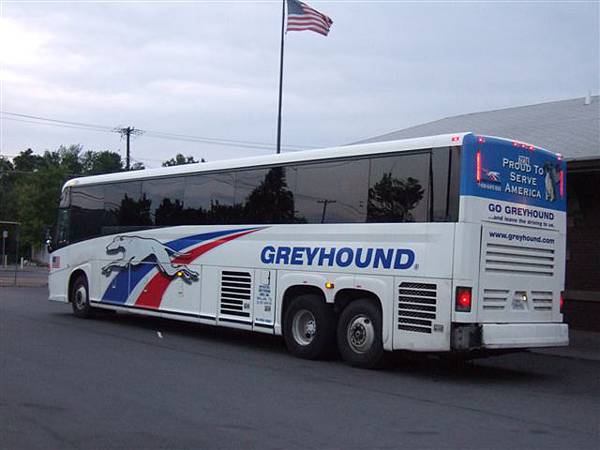 Greyhound Bus