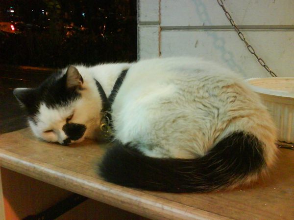 DSC00062.JPG DSC00062.JPG