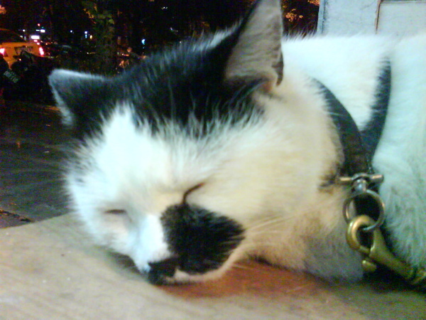 DSC00065.JPG DSC00065.JPG