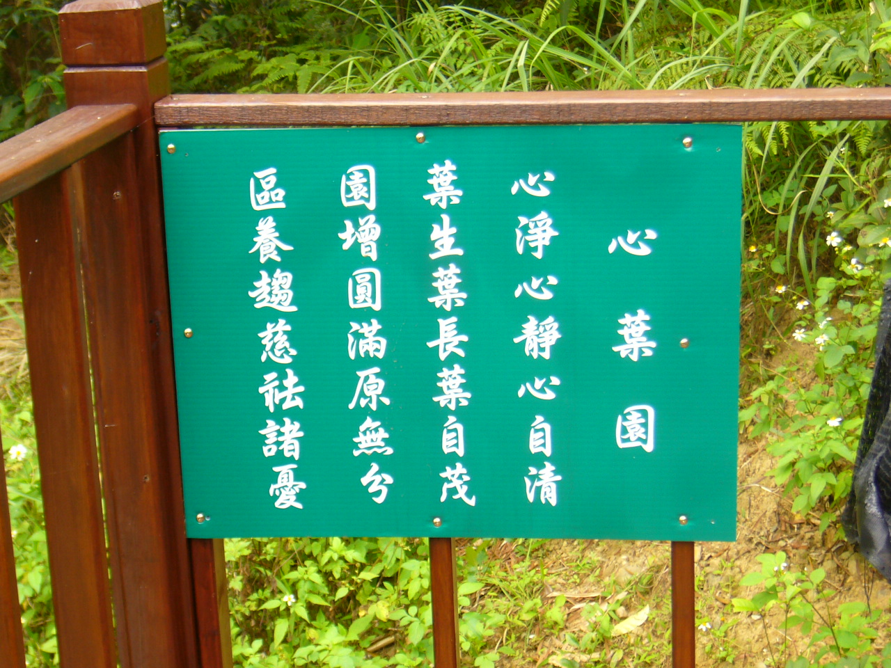 P1090983.JPG P1090983.JPG