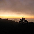 阿里山雲霞-1