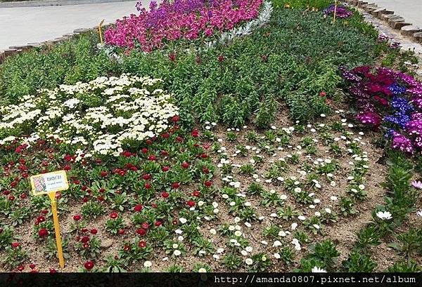 10985366_10204211540632272_8560912775083309741_n