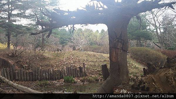 11108829_10204224590078500_4985977274419554773_n