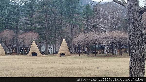 11133741_10204224539437234_6897165046432805852_n