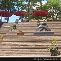 11295931_10204484929026811_2175370614396704898_n