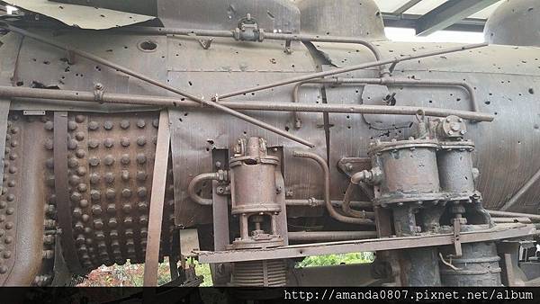 11390202_10204602756132415_898478794258649814_n