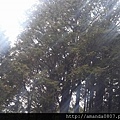 12928259_10206528333350642_5019054260057976426_n