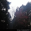 12932613_10206528331710601_5272132329319335068_n