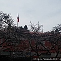 12321351_10206528325110436_7103365409269490897_n