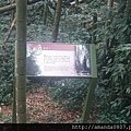 12932942_10206528305229939_8911781628782930737_n