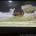 12923129_10206528194307166_5117231499404559045_n