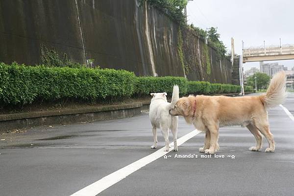 IMG_2567 IMG_2567