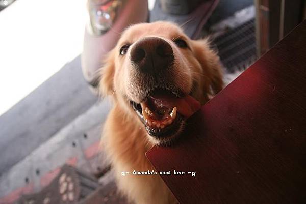 IMG_5012 IMG_5012