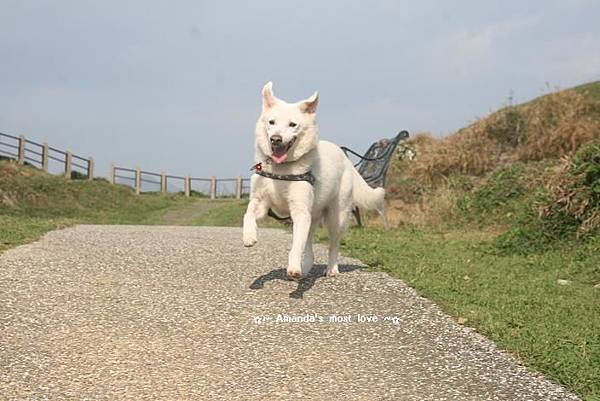 IMG_4102 IMG_4102