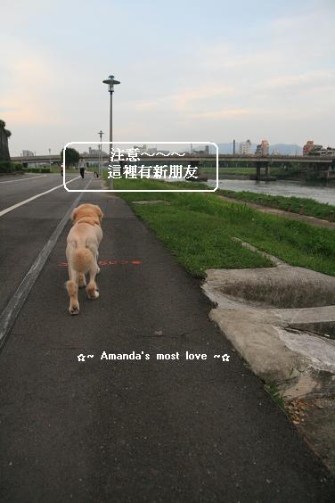 IMG_4428.JPG IMG_4428.JPG