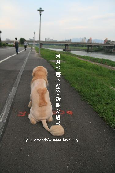 IMG_4430.JPG IMG_4430.JPG