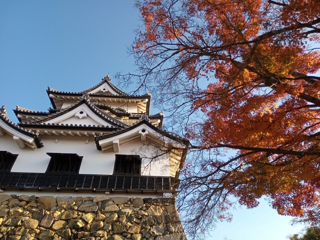 那些年在日本---滋賀縣彥根市/彥根城