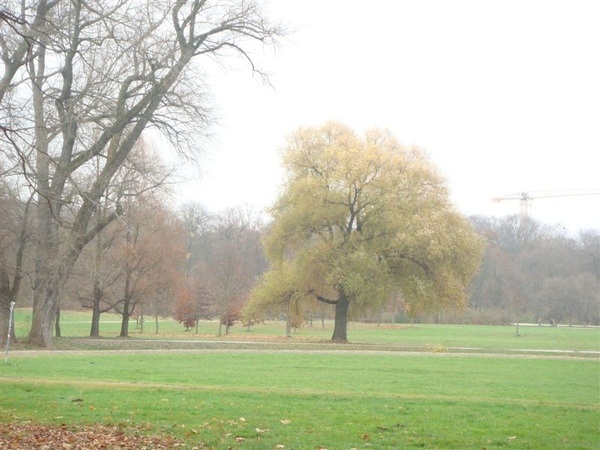 英國公園取景之一