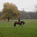 慕尼黑英國公園