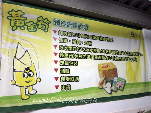 新北市竹筍節 品嚐甜美綠竹筍正是時候 Amanda生活美食料理