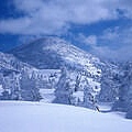 1600snow_2001-small.jpg