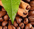 Coffe_011001-small.jpg