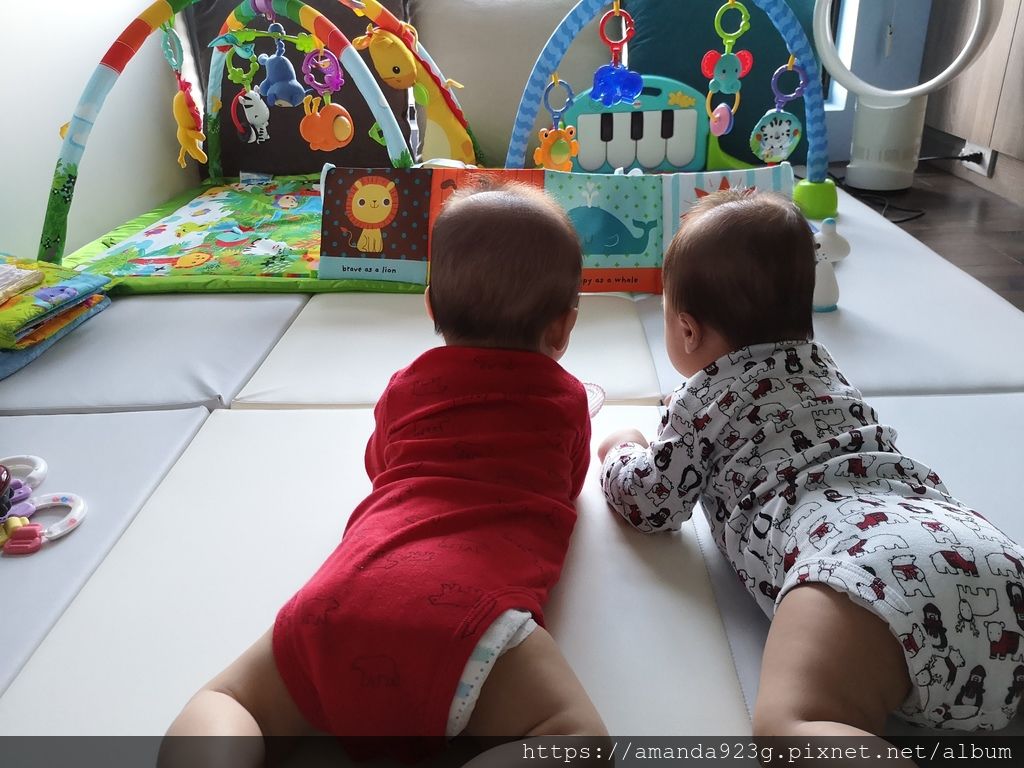 【媽媽好物】孕哺兒．卵磷脂．哺多多．媽媽藻油DHA．凍晶鐵+葉酸