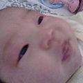 20110409405.jpg