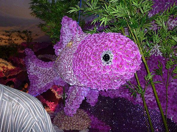 蘭花金魚.JPG 蘭花金魚.JPG
