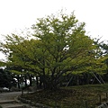 兼六園030.jpg