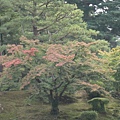 兼六園054.jpg