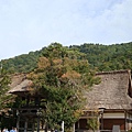 合掌村018.jpg