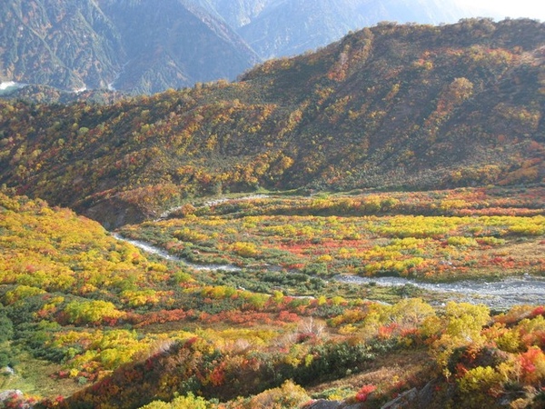 在登山纜車上拍的