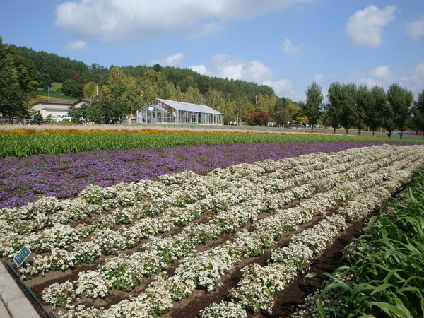 富田農場