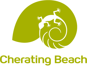 PictoCheratingBeach_Kiwis_P.png