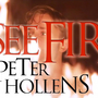 Ed Sheeran - I See Fire - The Hobbit - Peter Hollens