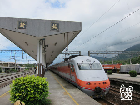 IMG_8481 IMG_8481